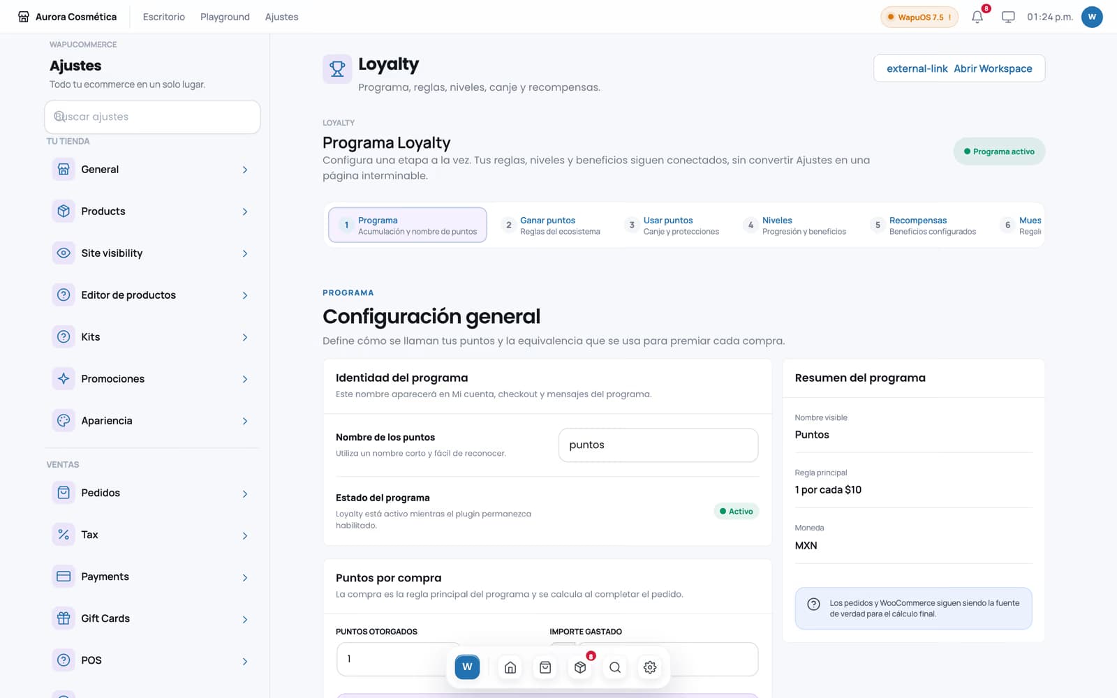 Configuración del programa de puntos de Wapu Loyalty.